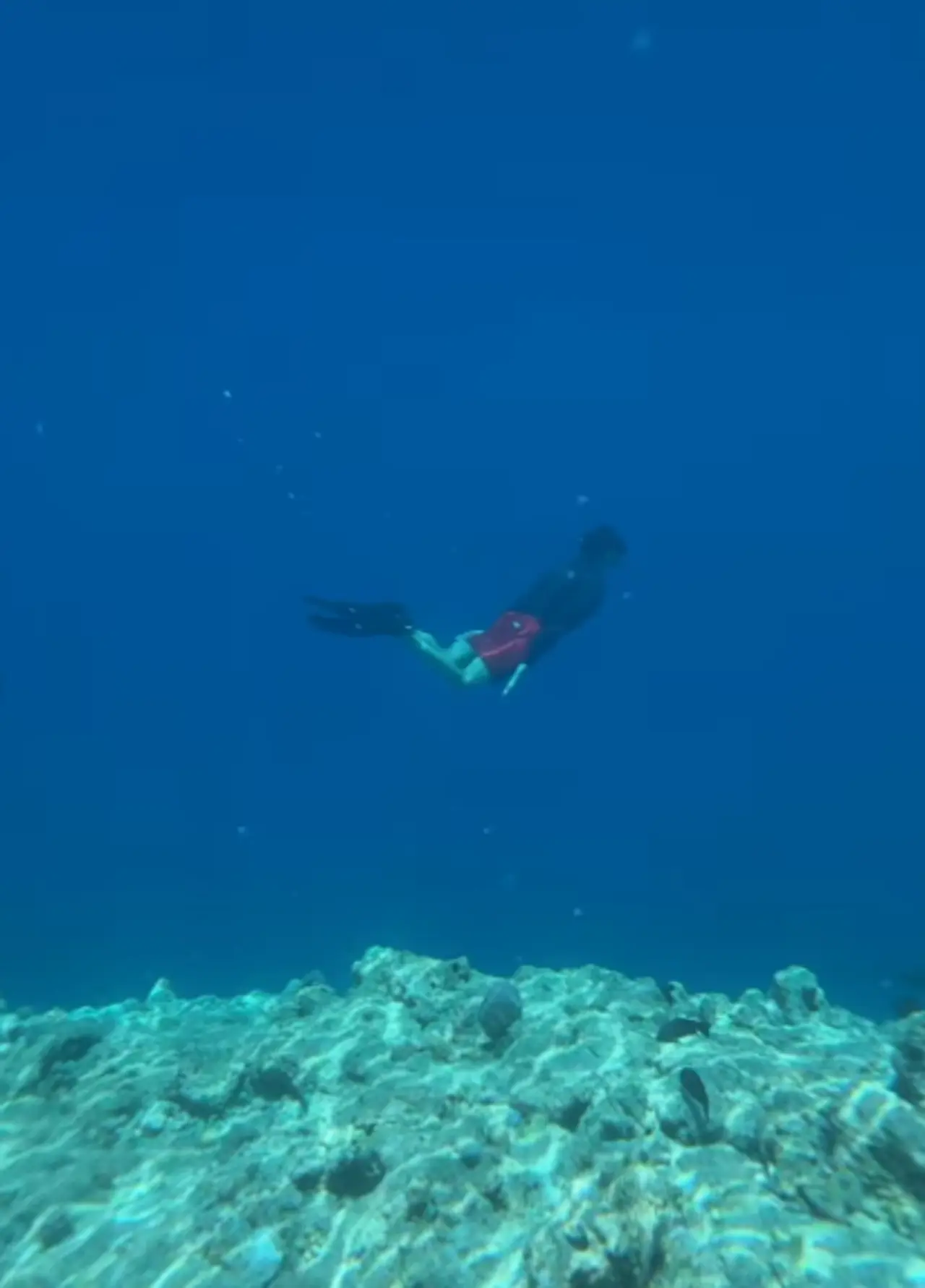 Sidharth shared a video of himself scuba diving in deep waters enjoying the view of the deep ocean.